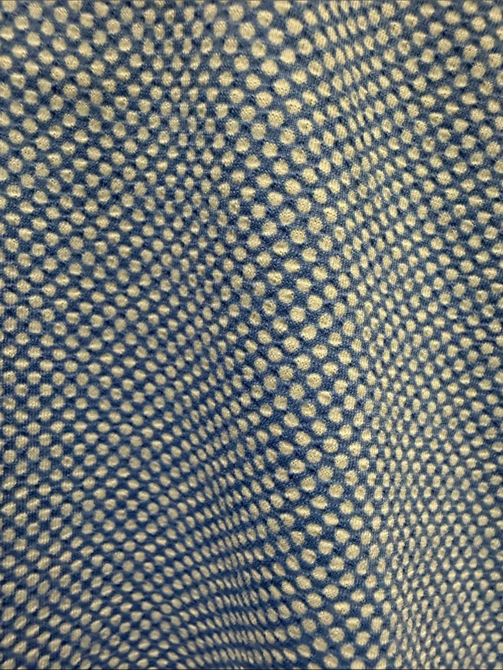 B. Draddy light blue